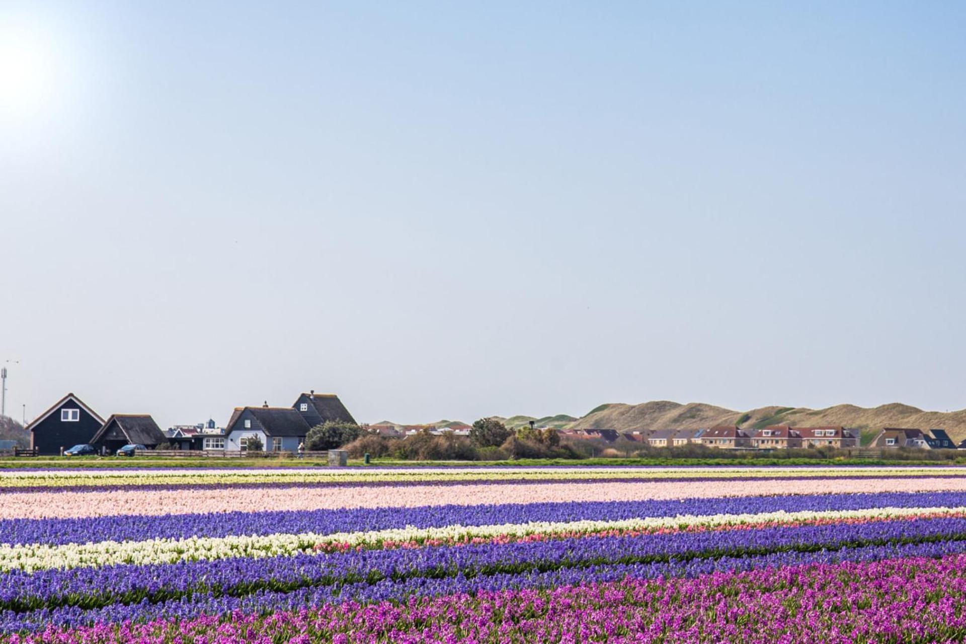 Beach Appartement 27 - Aan De Duinen, Callantsoog Aan Zee Bagian luar foto