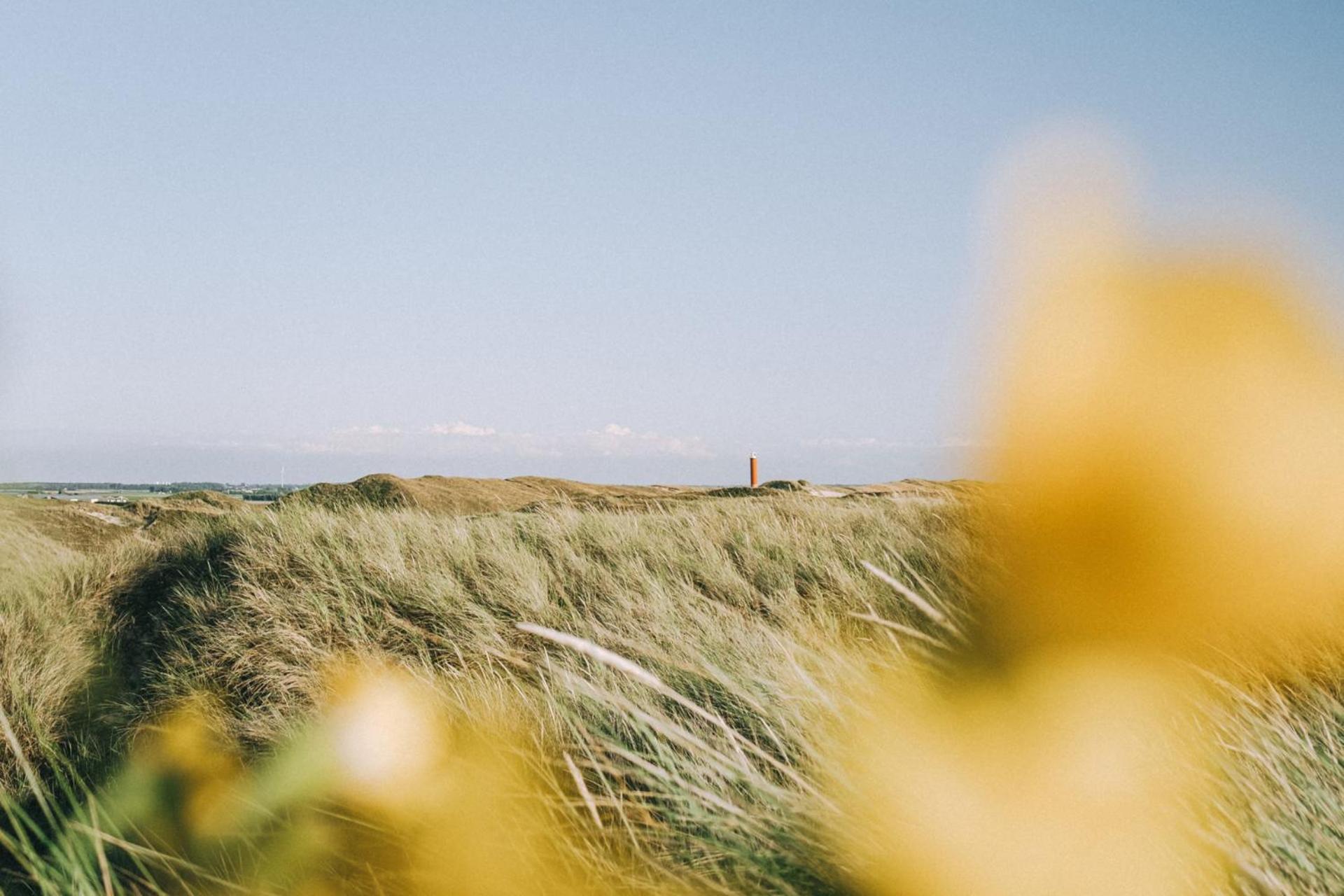 Beach Appartement 27 - Aan De Duinen, Callantsoog Aan Zee Bagian luar foto